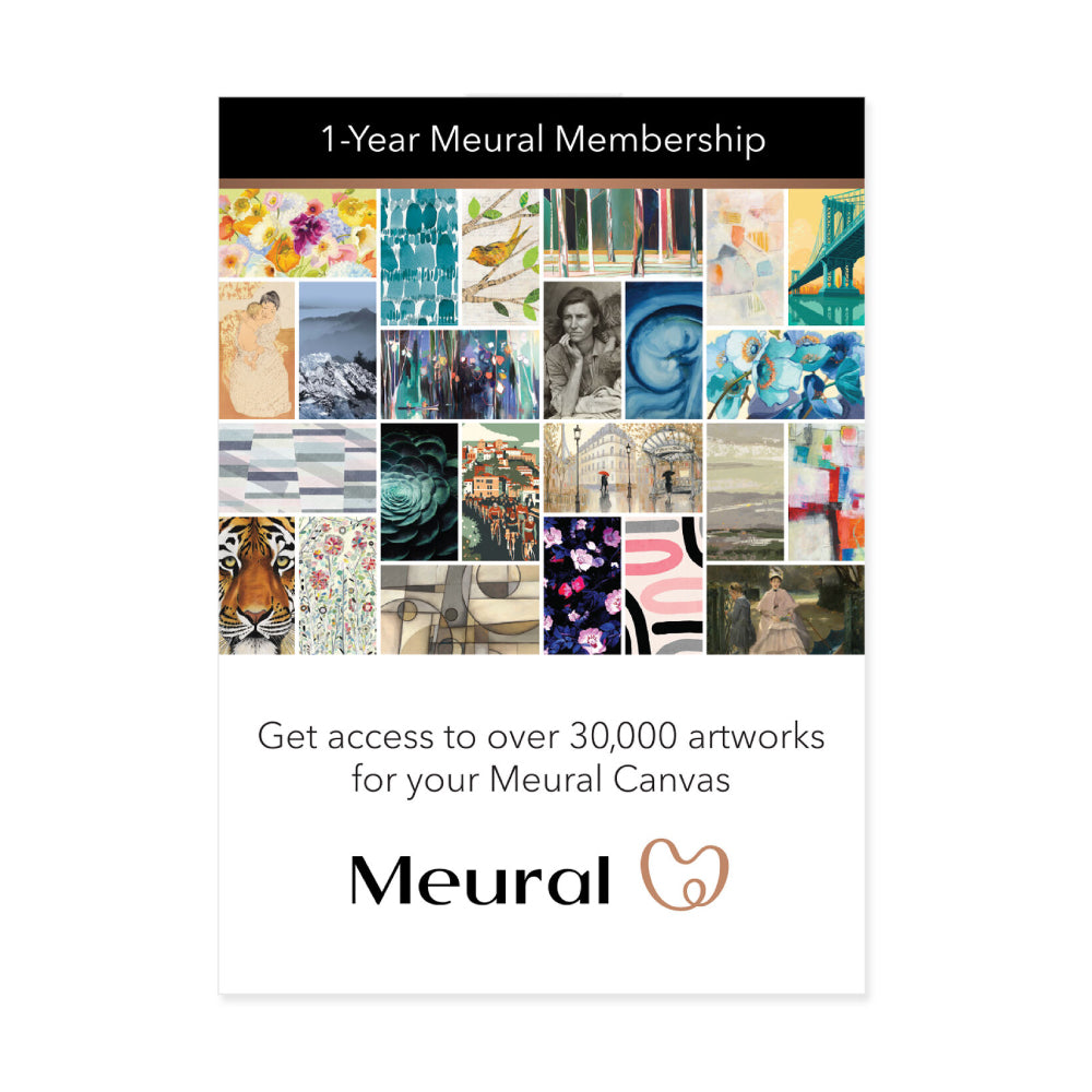 1-Year Meural Membership